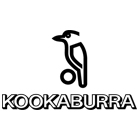 Kookaburra